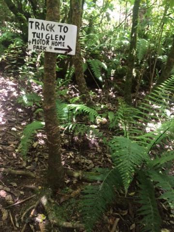 فيلا Tui Glen Raurimu المظهر الخارجي الصورة